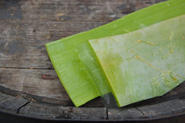 Aloe Vera Gel 200g — Freshly cut aloe vera leaf