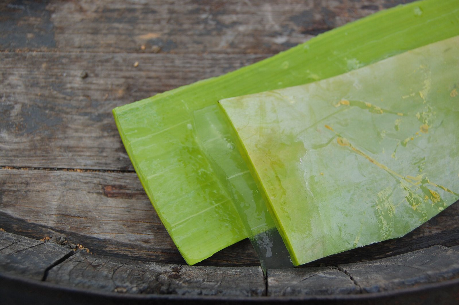 Aloe Vera Gel 200g — Freshly cut aloe vera leaf