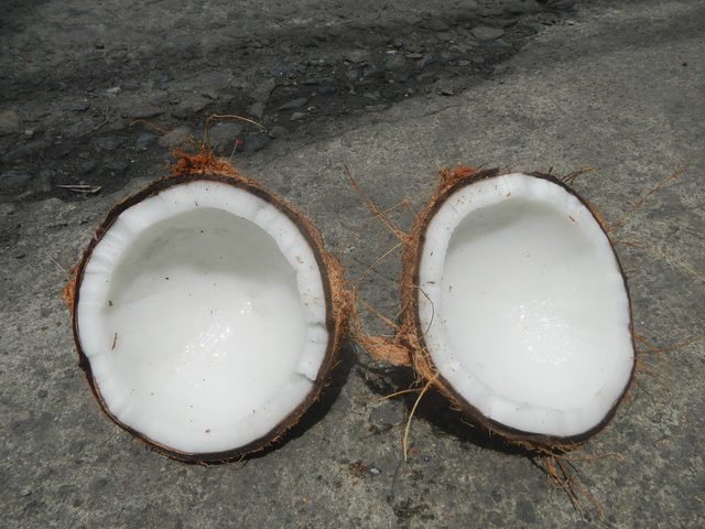 Bhringraj Hair Oil 200ml — Fresh coconut halves