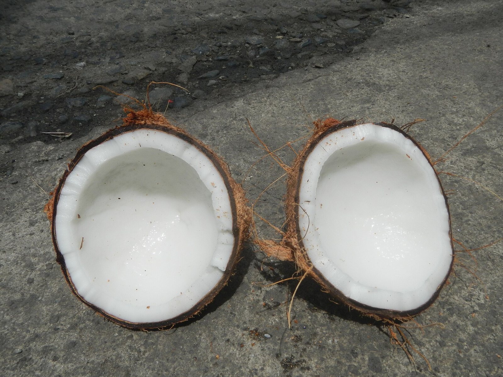 Bhringraj Hair Oil 200ml — Fresh coconut halves