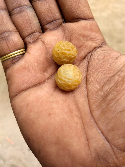 Herbal Shampoo — Soapnuts (reetha)