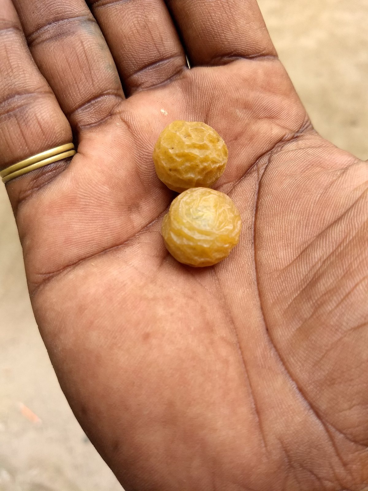 Herbal Shampoo — Soapnuts (reetha)